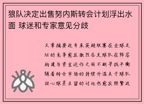 狼队决定出售努内斯转会计划浮出水面 球迷和专家意见分歧