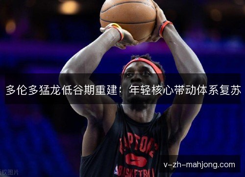 多伦多猛龙低谷期重建：年轻核心带动体系复苏